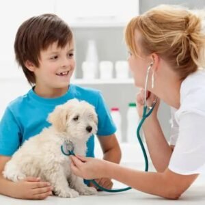 PetLover Health