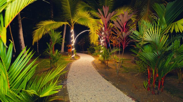 DSC09965