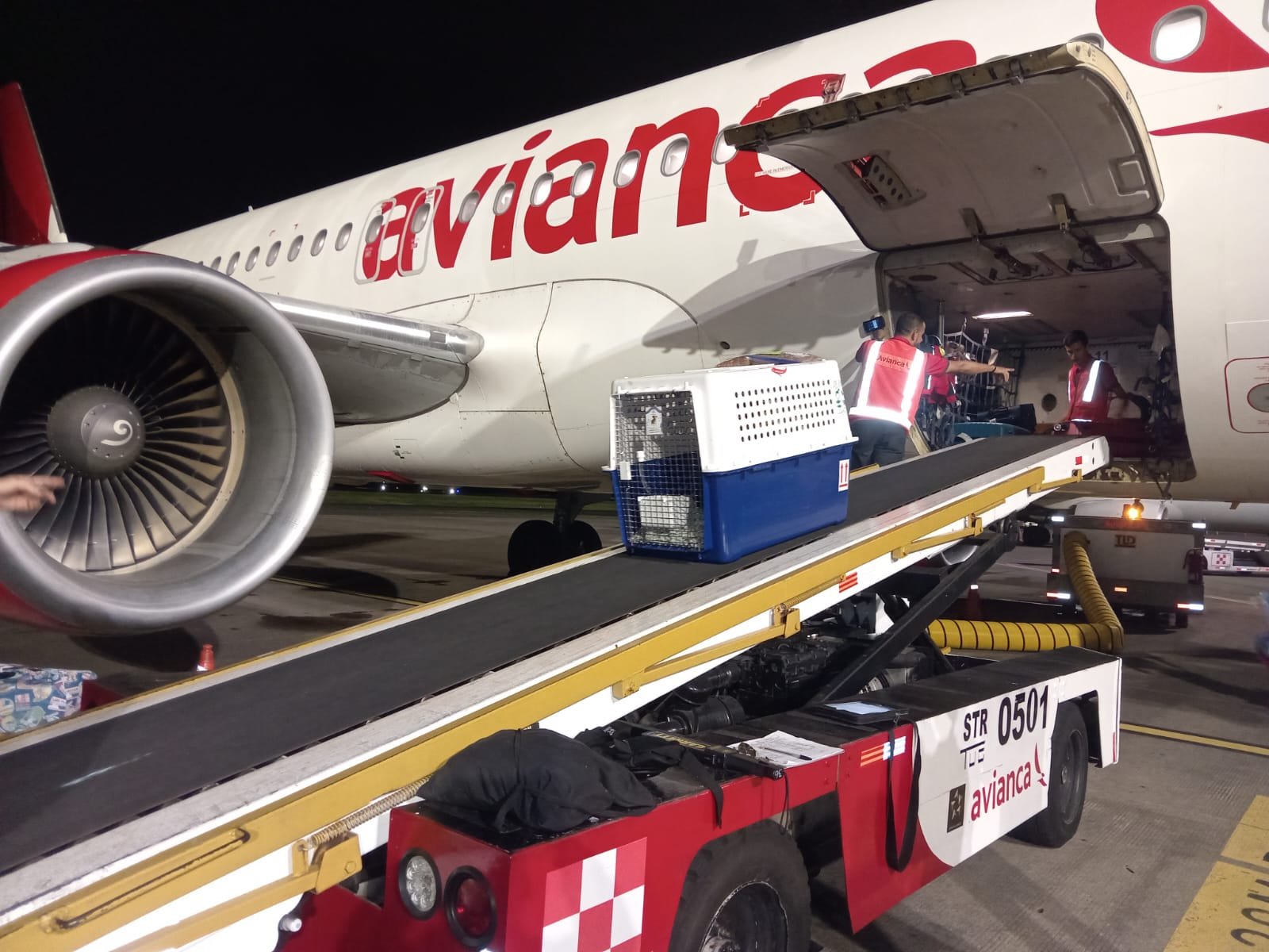 WhatsApp Image 2025-03-05 at 10.49.50