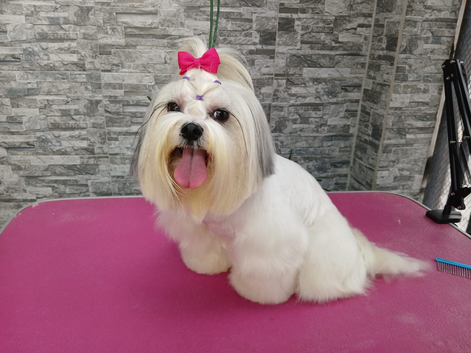 WhatsApp Image 2025-03-12 at 1.12.24 PM (1)