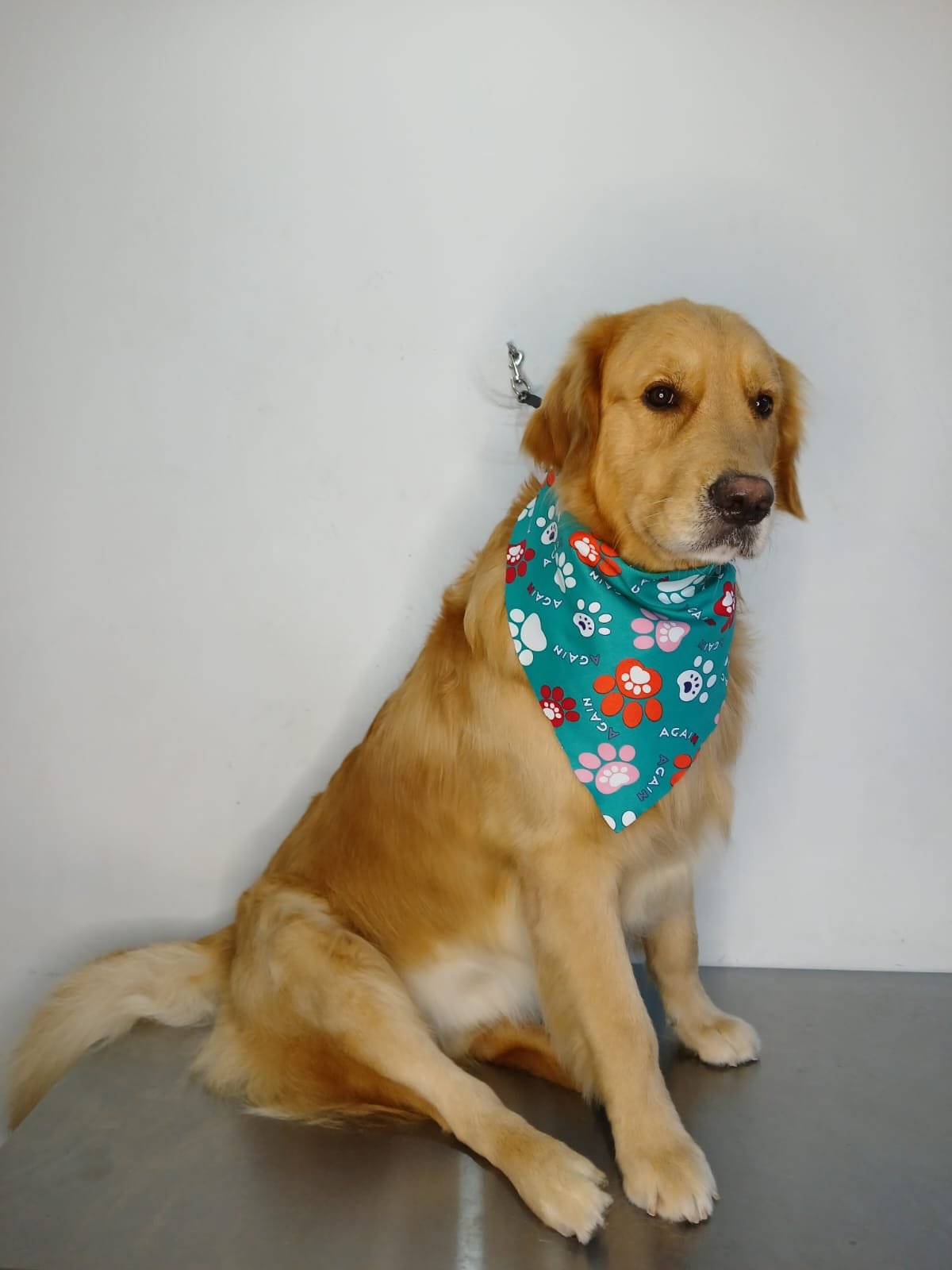 WhatsApp Image 2025-03-12 at 1.12.24 PM (3)