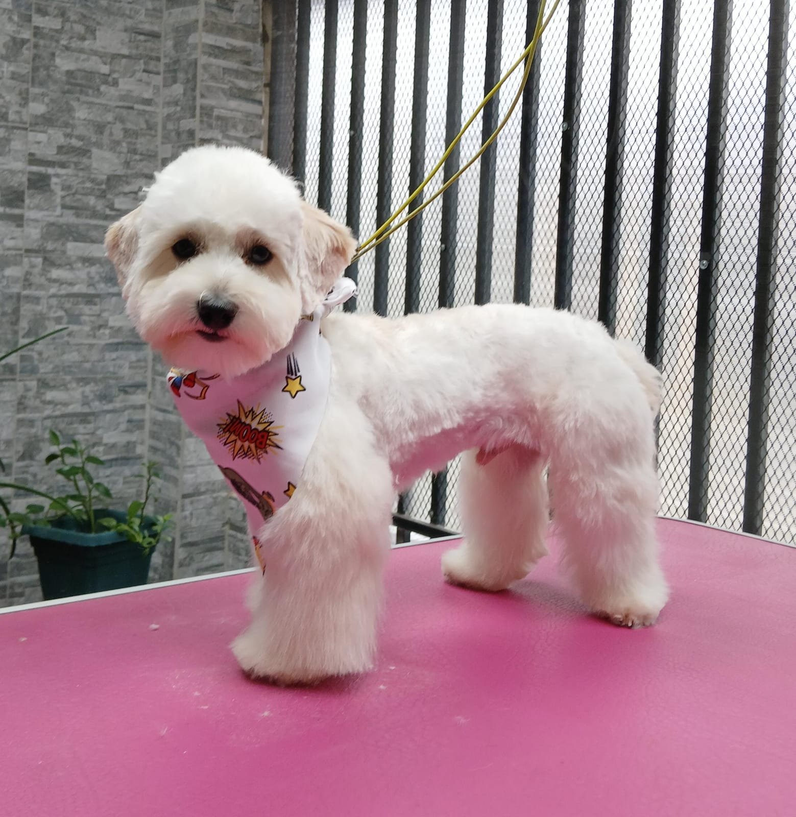 WhatsApp Image 2025-03-12 at 1.12.25 PM