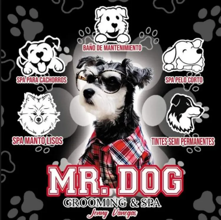 imagen_2025-06-23_144847722