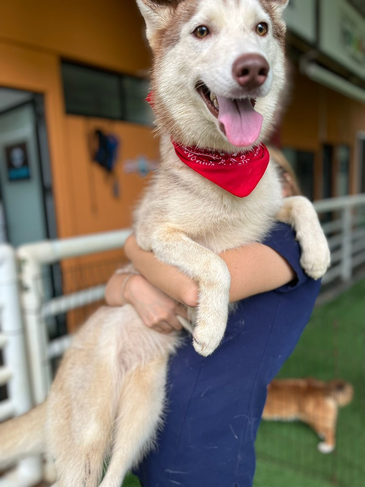 3c572c3e-1603-488f-998a-62692d946634