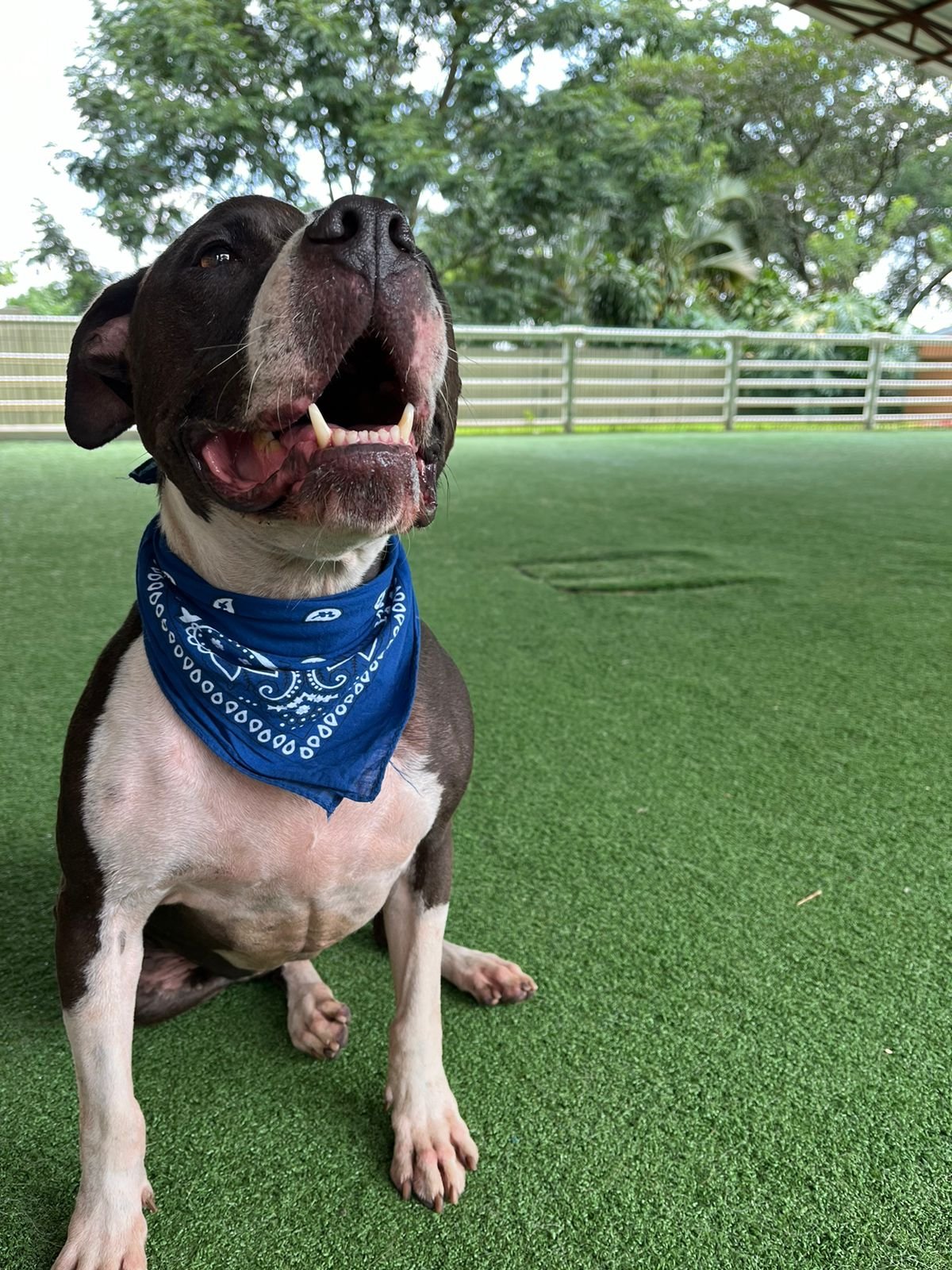 5c2e4f1d-649b-4708-ab9d-c0430a6af3bb