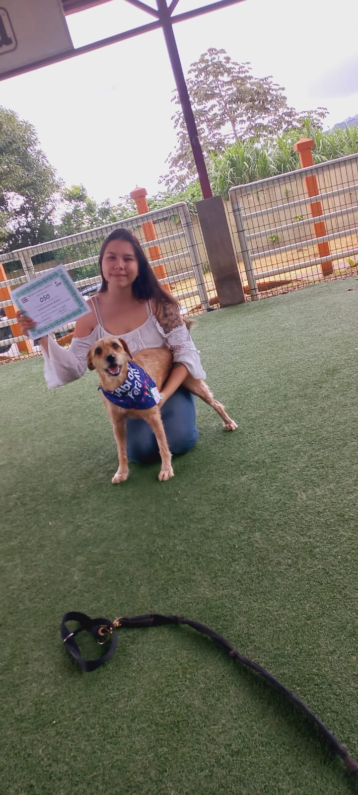 6ab5d08b-9276-49ed-9d79-bd33e8a48cb3