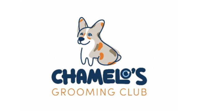 Logo-19