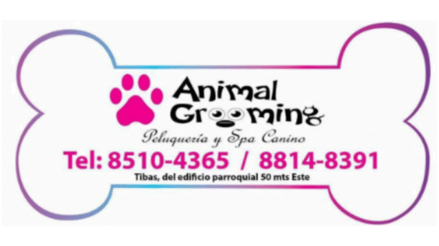 Logo-2