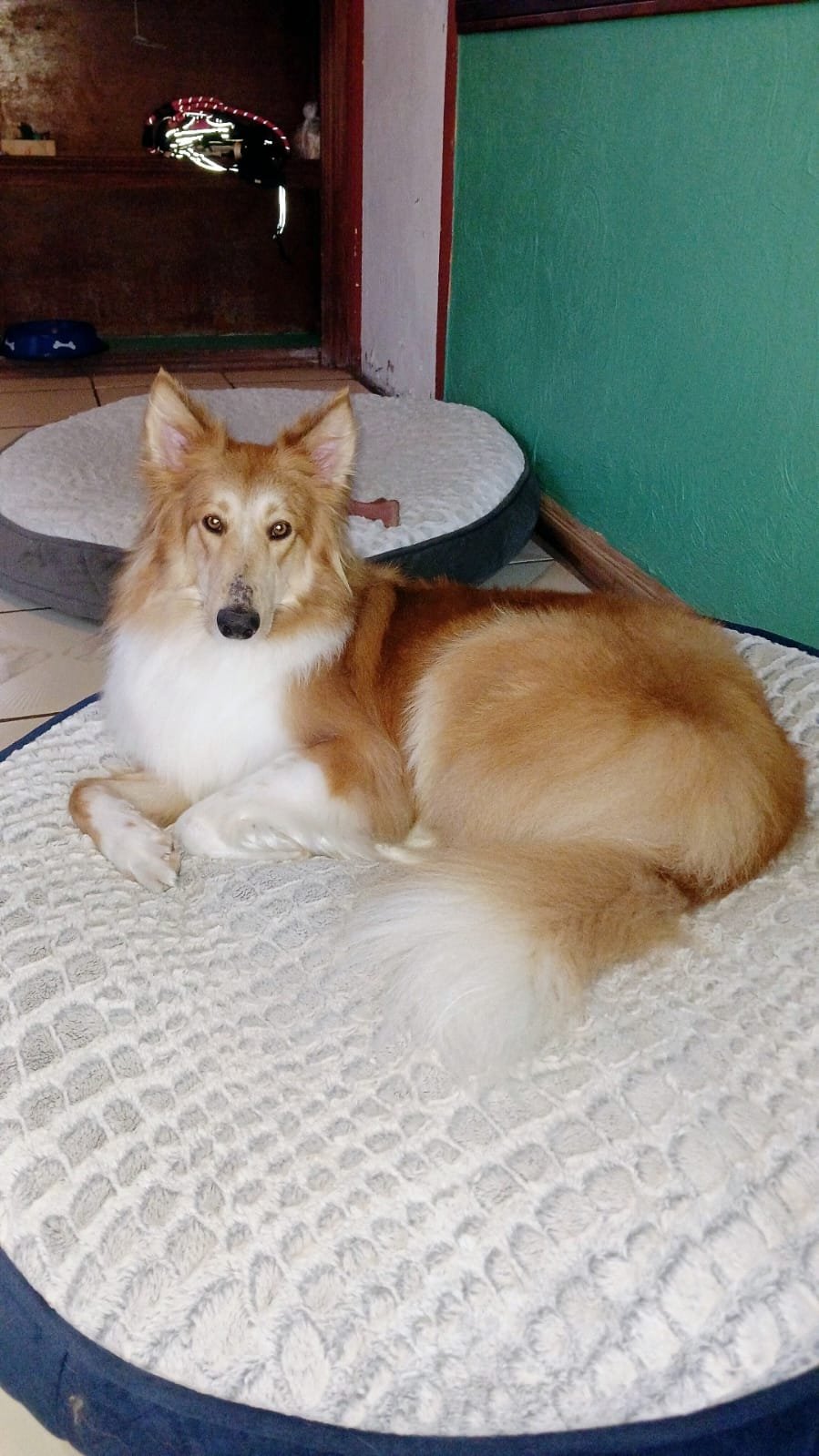 WhatsApp-Image-2025-06-13-at-11.23.59-AM-4