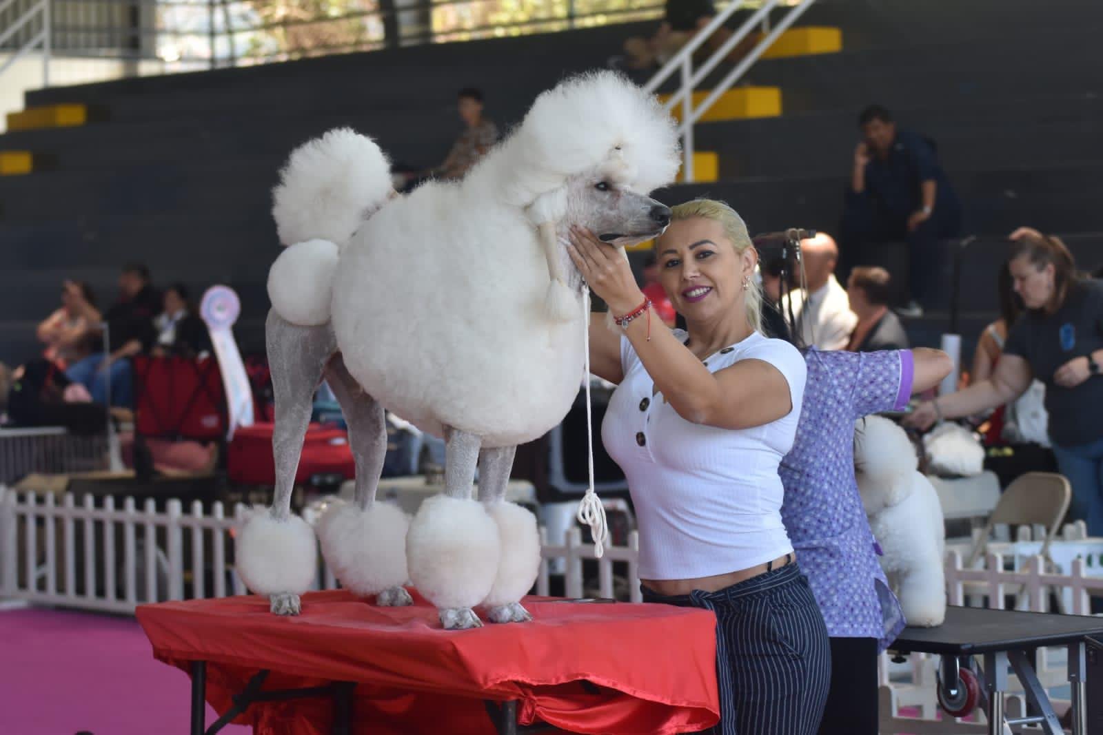 WhatsApp-Image-2025-06-17-at-1.11.13-PM-5