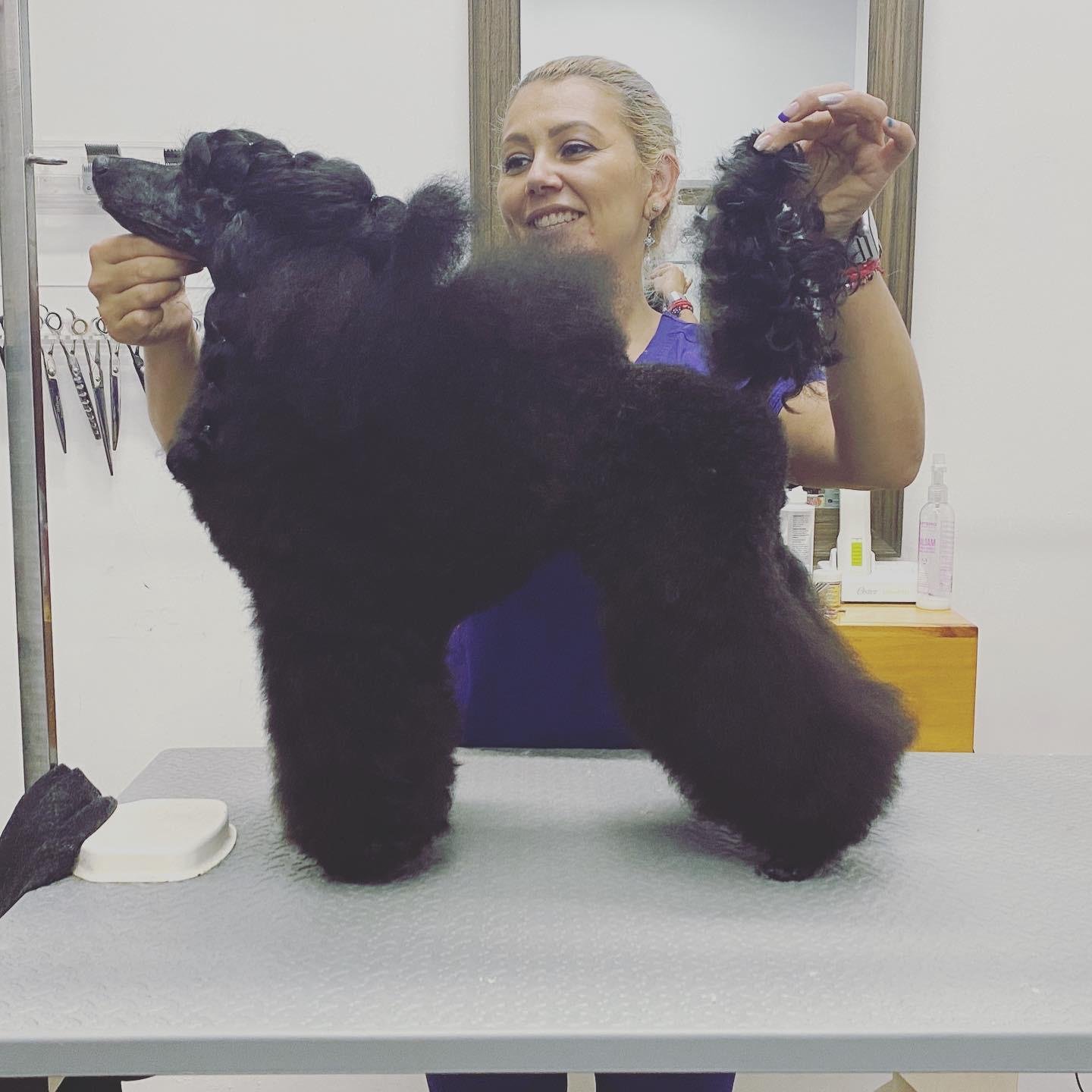 WhatsApp-Image-2025-06-17-at-1.11.22-PM-1