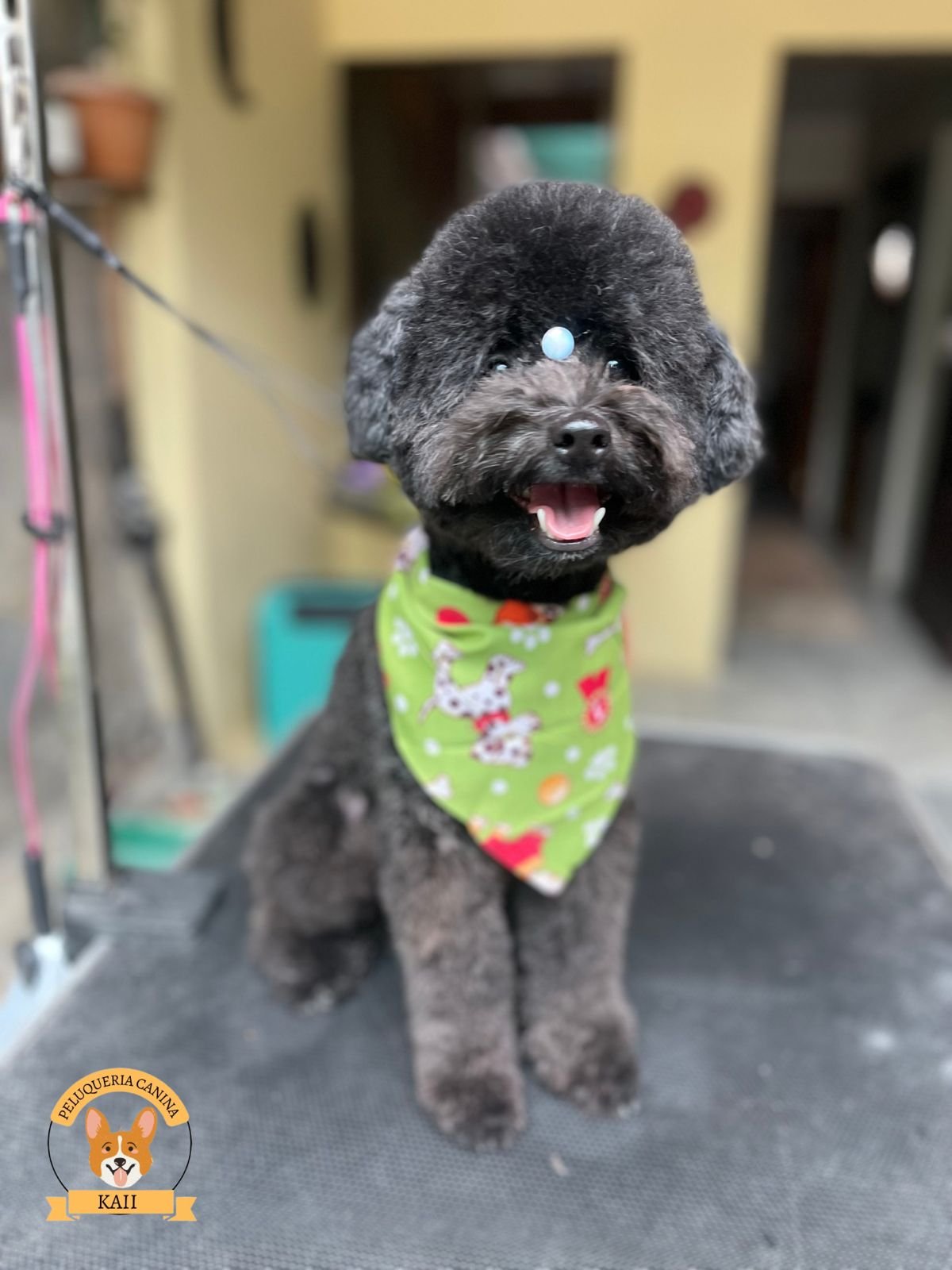 WhatsApp-Image-2025-06-19-at-10.04.06-AM-1