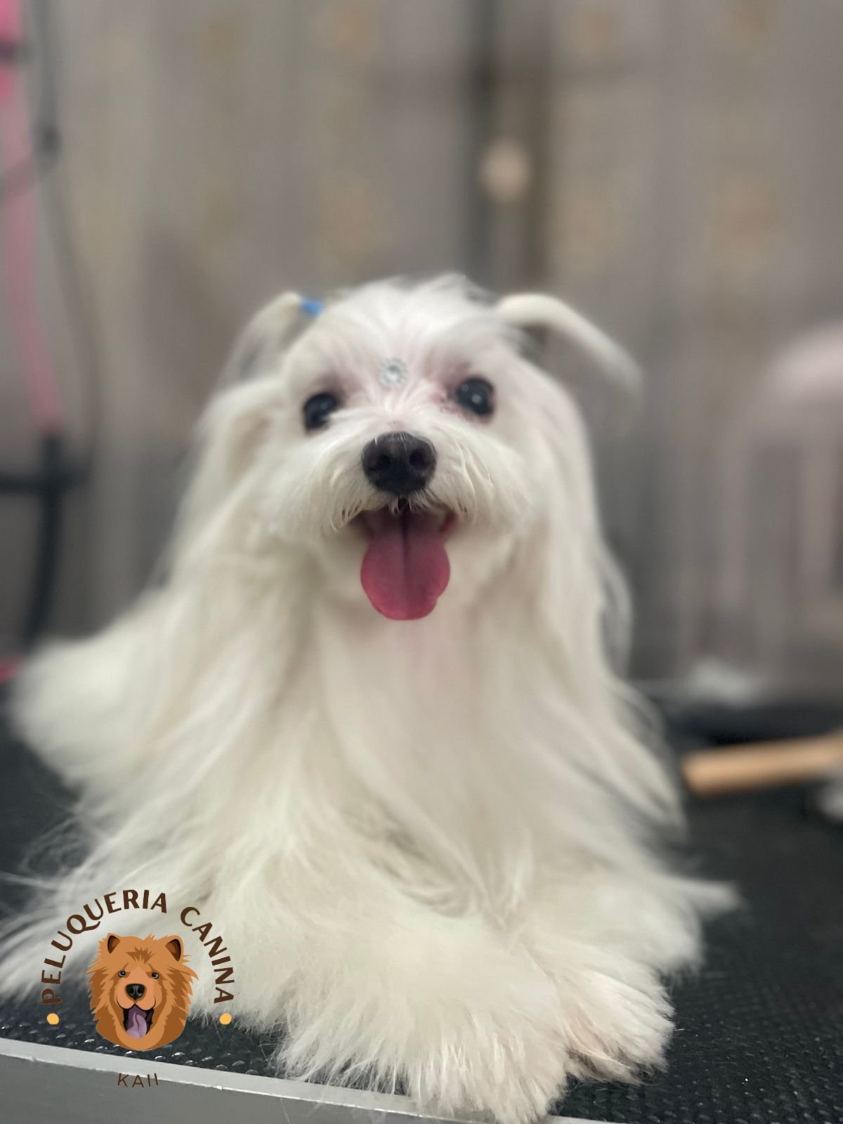 WhatsApp-Image-2025-06-19-at-10.04.06-AM-3