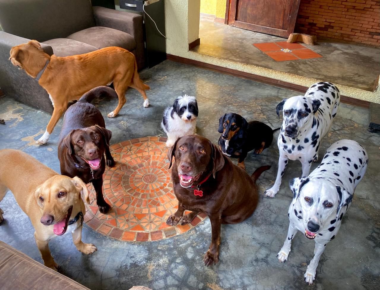 WhatsApp-Image-2025-06-24-at-3.48.00-PM-3