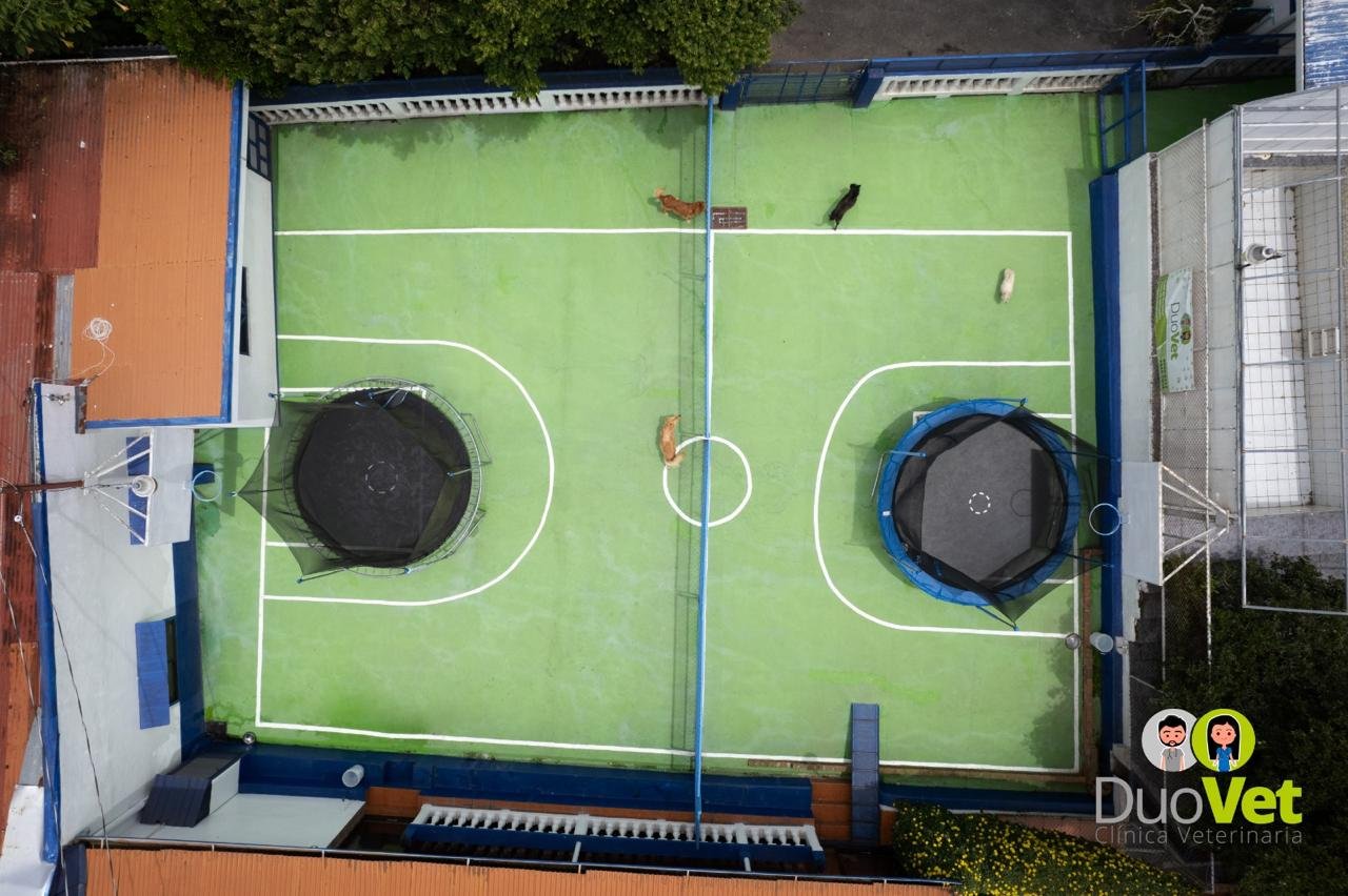 WhatsApp-Image-2025-06-25-at-10.36.40-AM