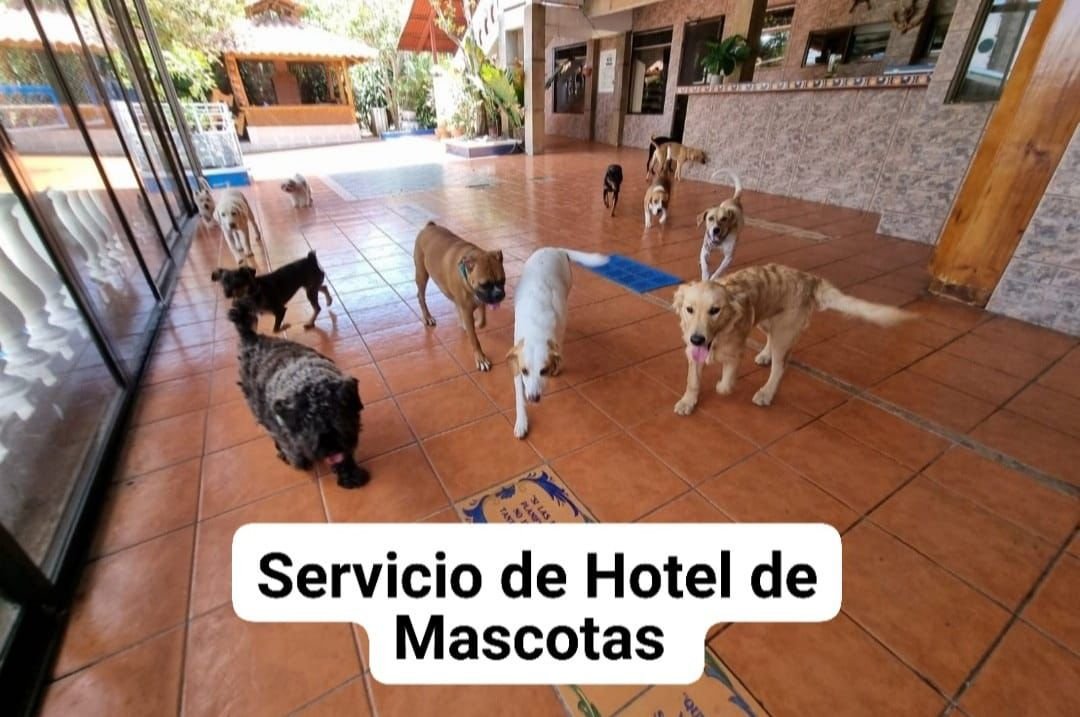 WhatsApp-Image-2025-06-25-at-10.36.41-AM