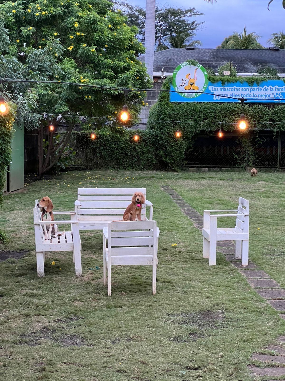 WhatsApp-Image-2025-06-25-at-11.13.01-AM-copia-copia