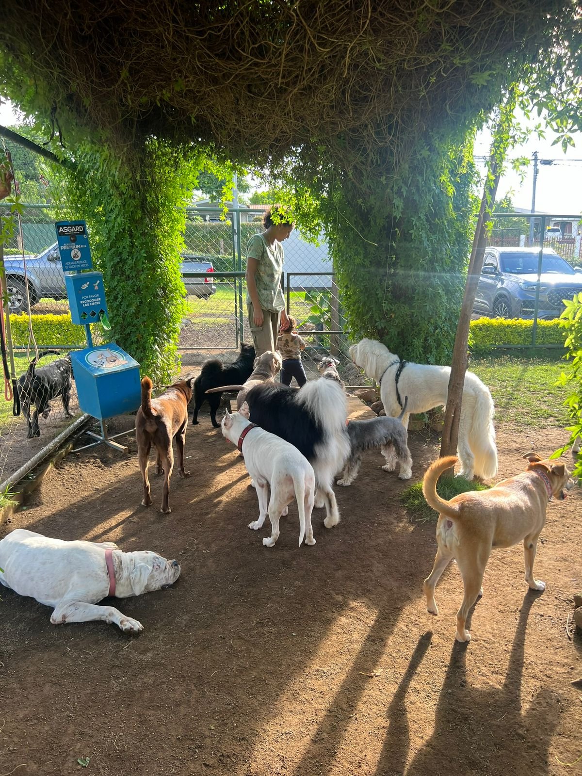 WhatsApp-Image-2025-06-25-at-12.58.46-PM