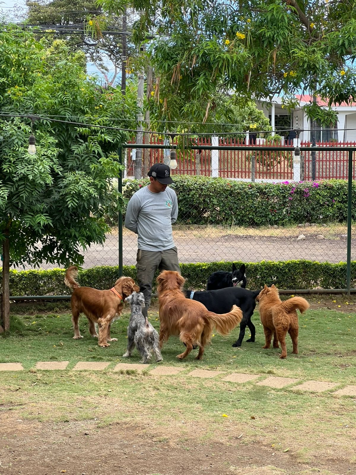 WhatsApp-Image-2025-06-25-at-12.58.51-PM-1