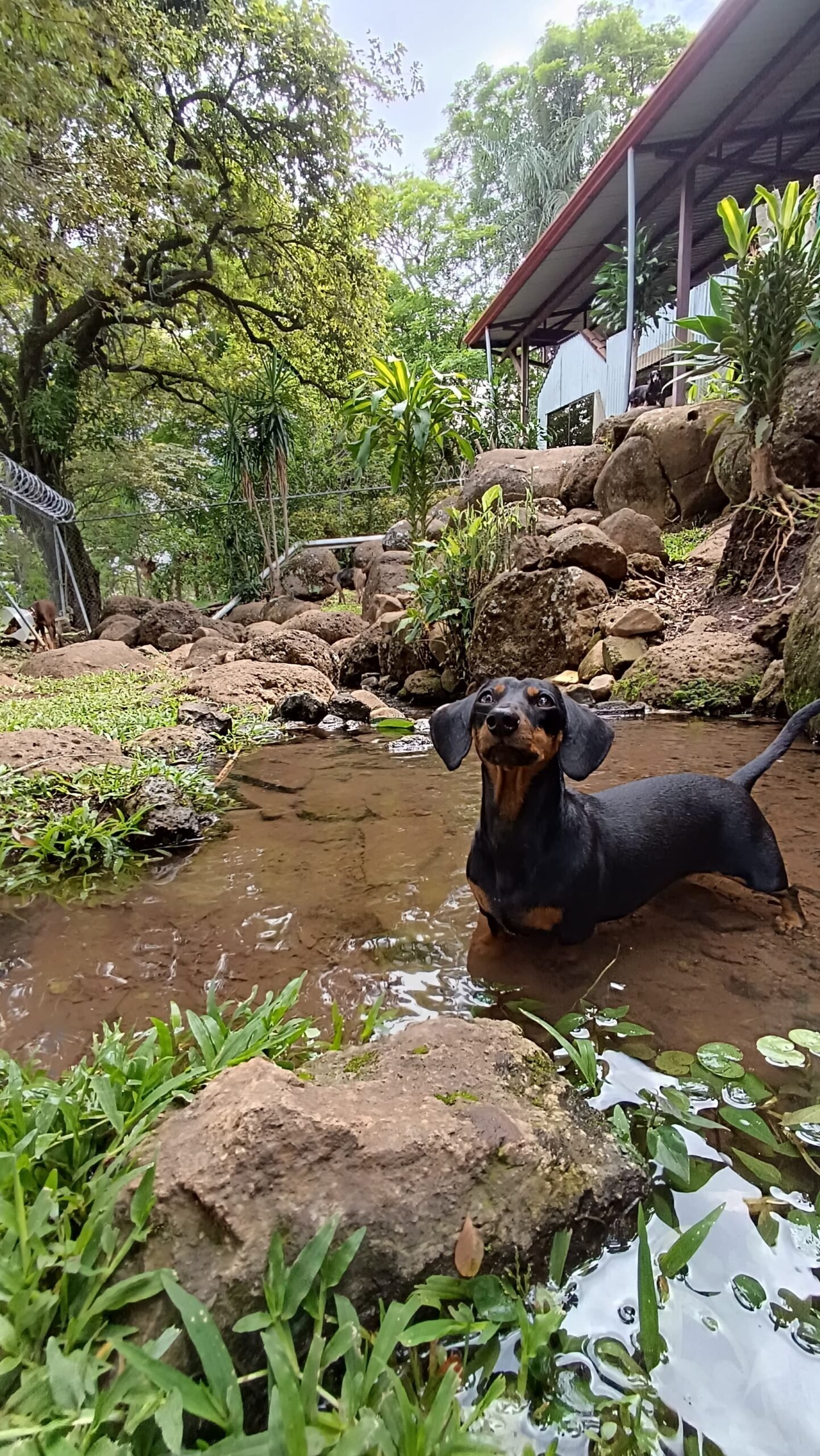 WhatsApp-Image-2025-06-25-at-9.37.50-PM