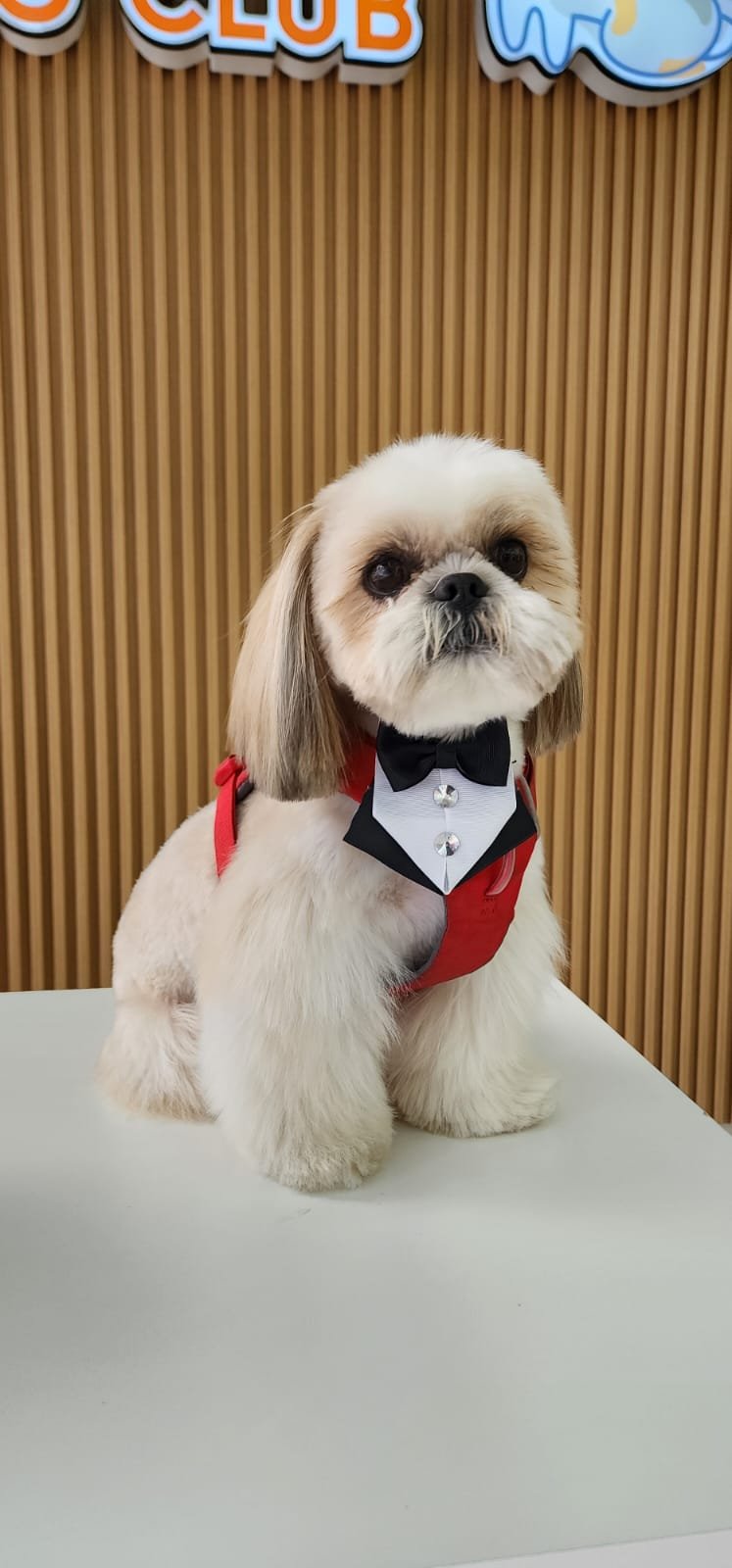 WhatsApp-Image-2025-06-27-at-11.40.04-AM-2