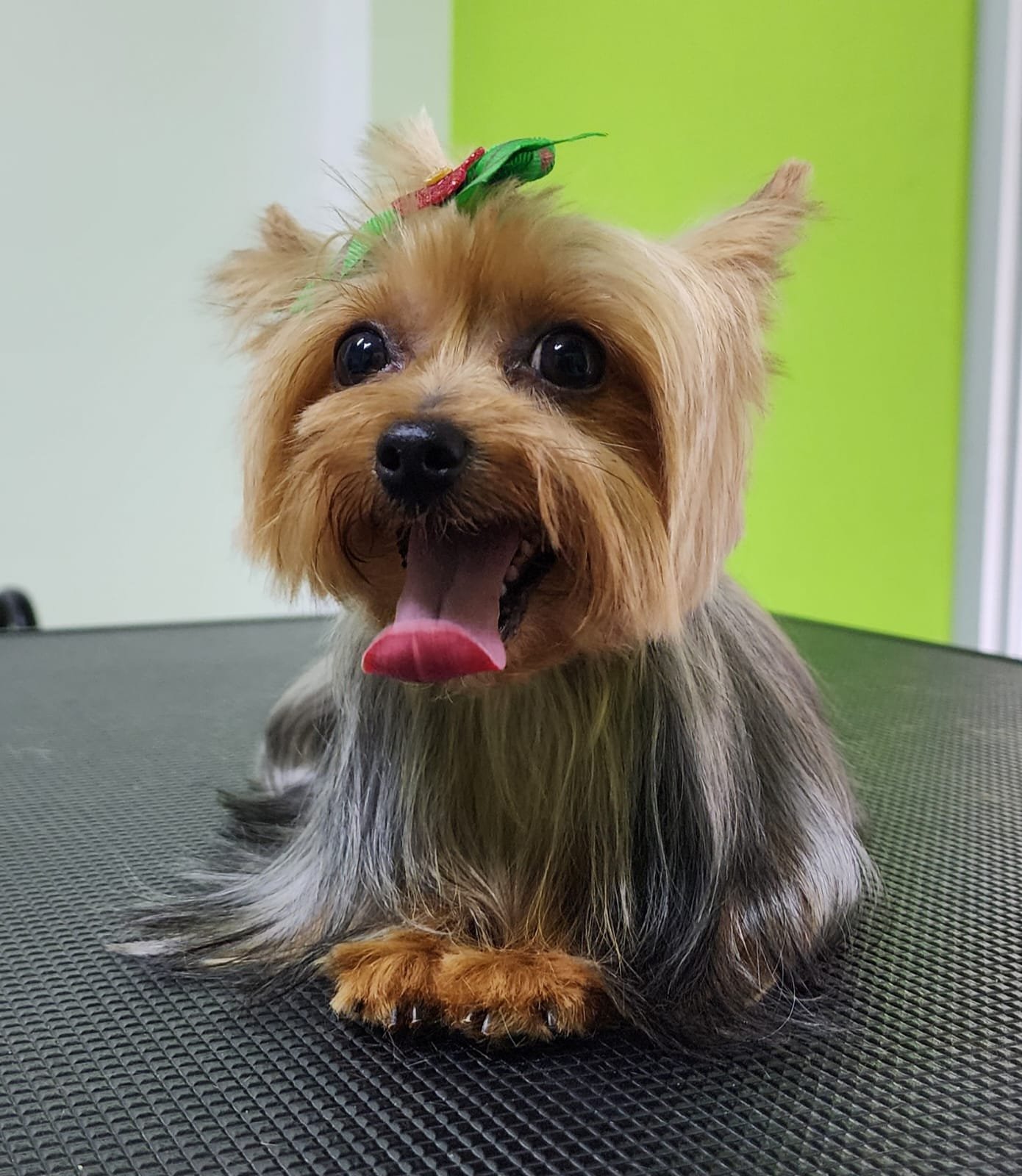 WhatsApp-Image-2025-06-27-at-11.40.07-AM-1