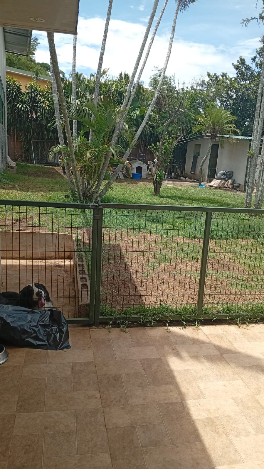 WhatsApp-Image-2025-06-27-at-3.21.37-PM