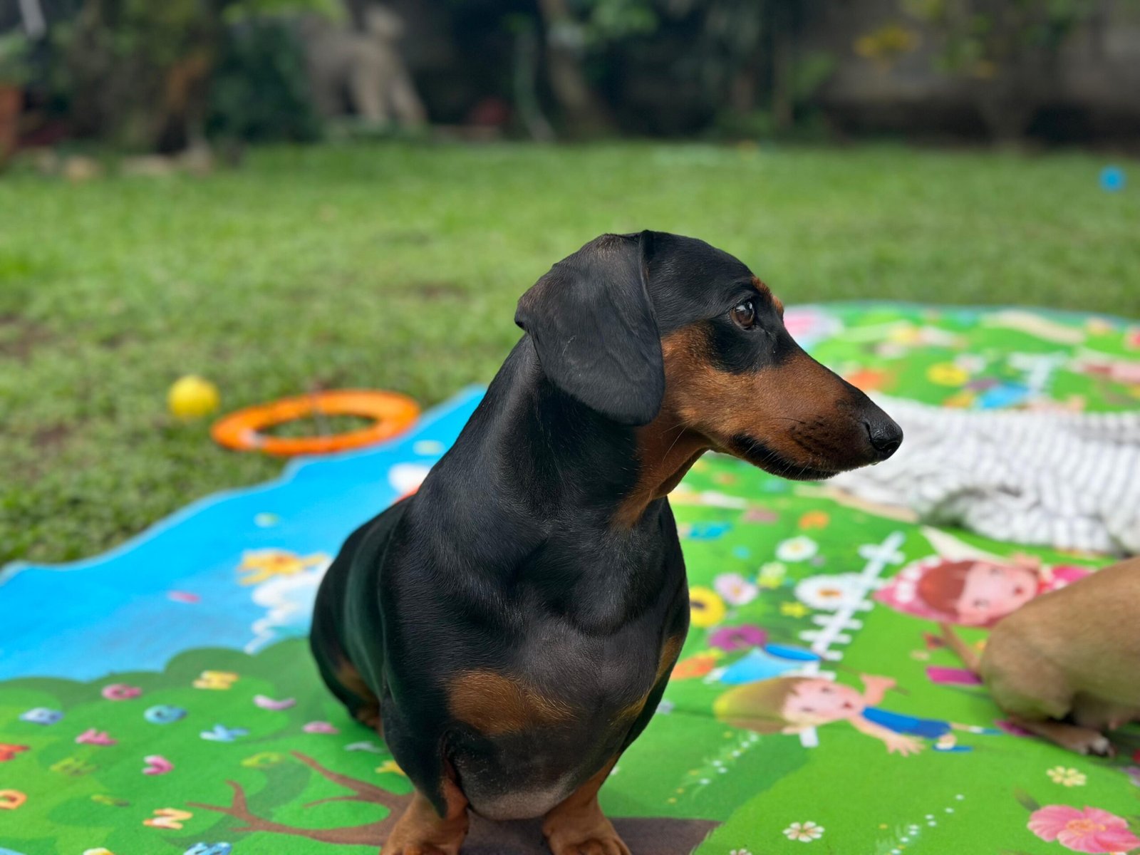 WhatsApp-Image-2025-06-27-at-3.29.34-PM-2