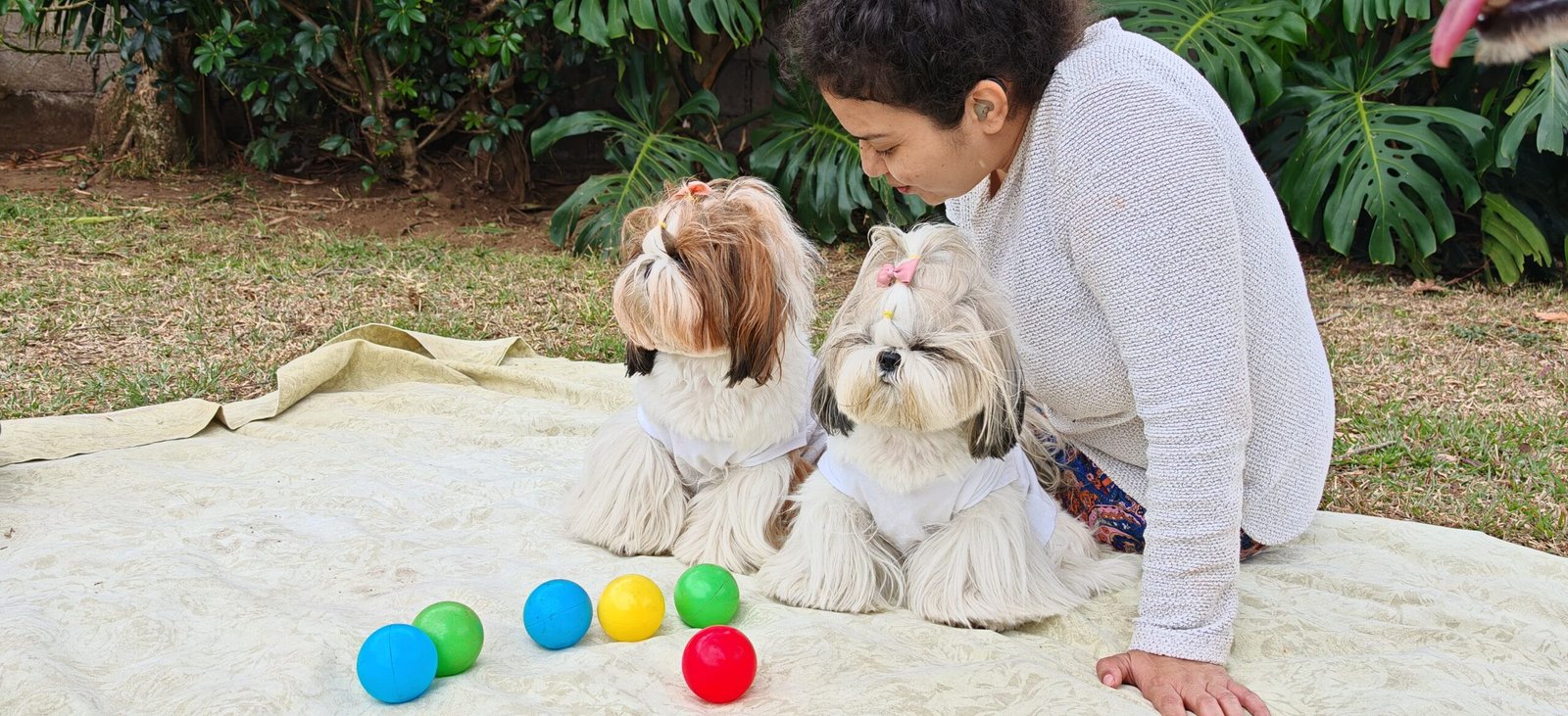 WhatsApp-Image-2025-06-27-at-3.29.35-PM-1