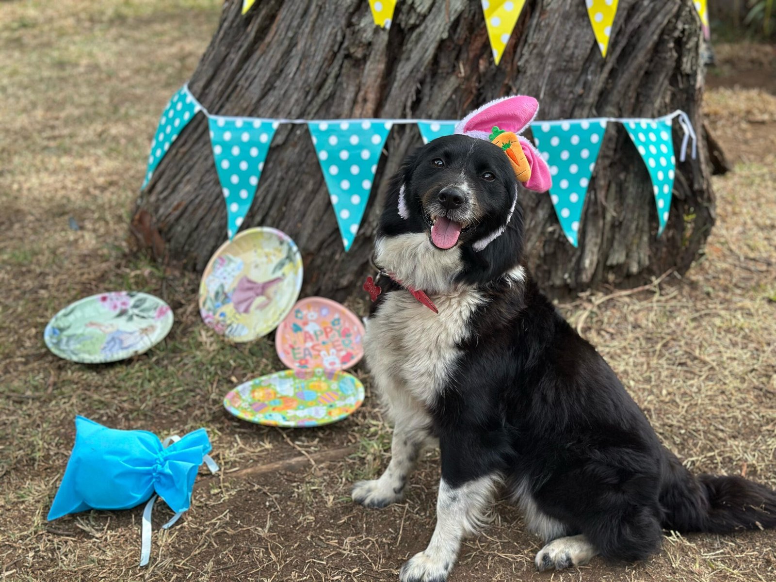 WhatsApp-Image-2025-06-27-at-3.29.36-PM