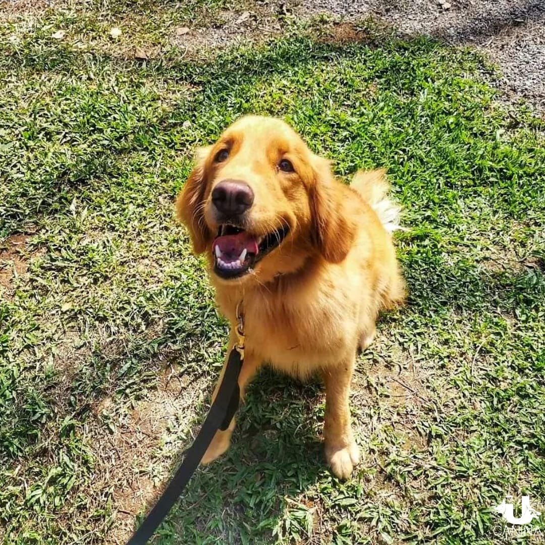 WhatsApp-Image-2025-06-30-at-2.27.46-PM-1