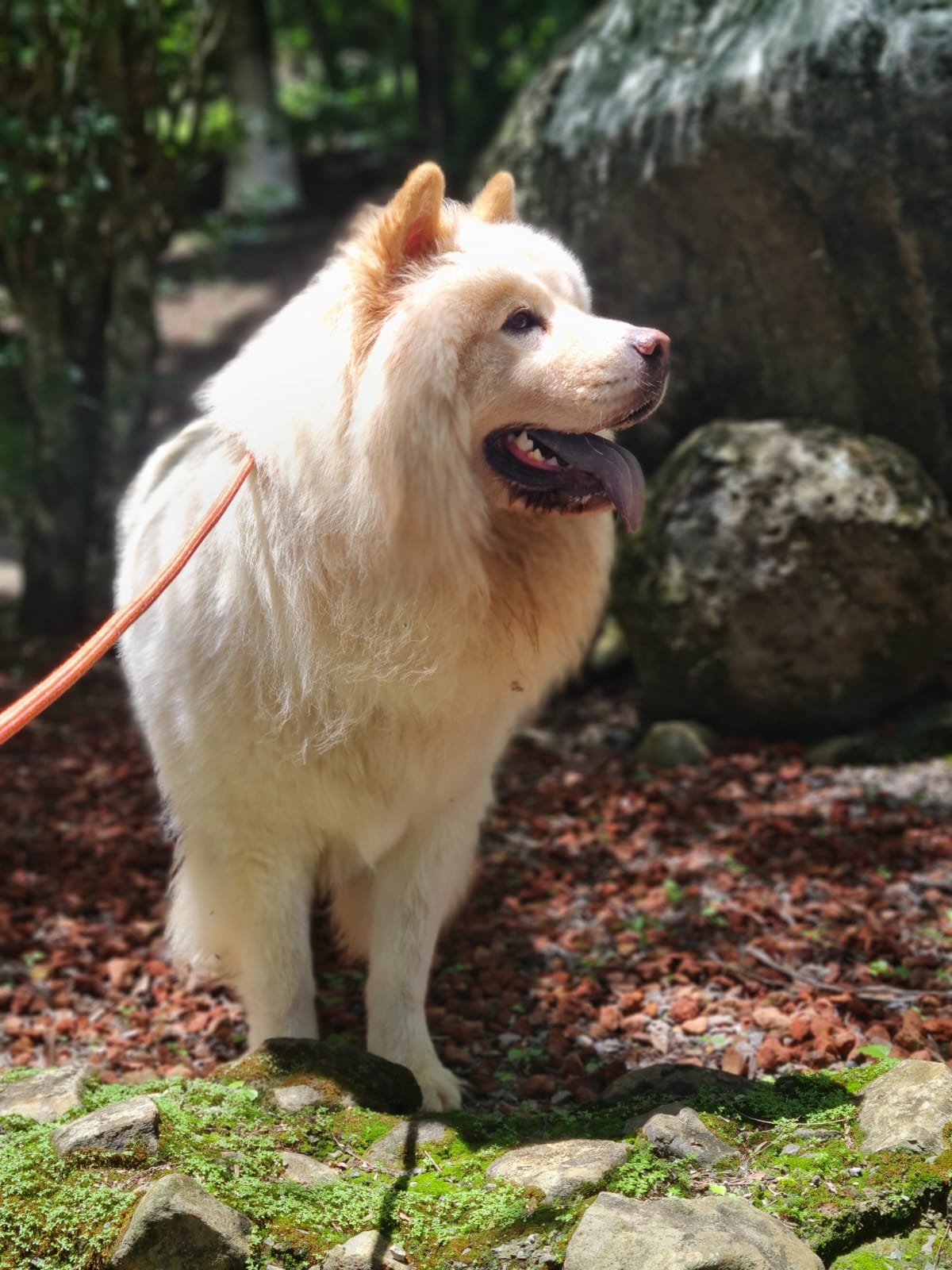 WhatsApp-Image-2025-06-30-at-2.27.46-PM