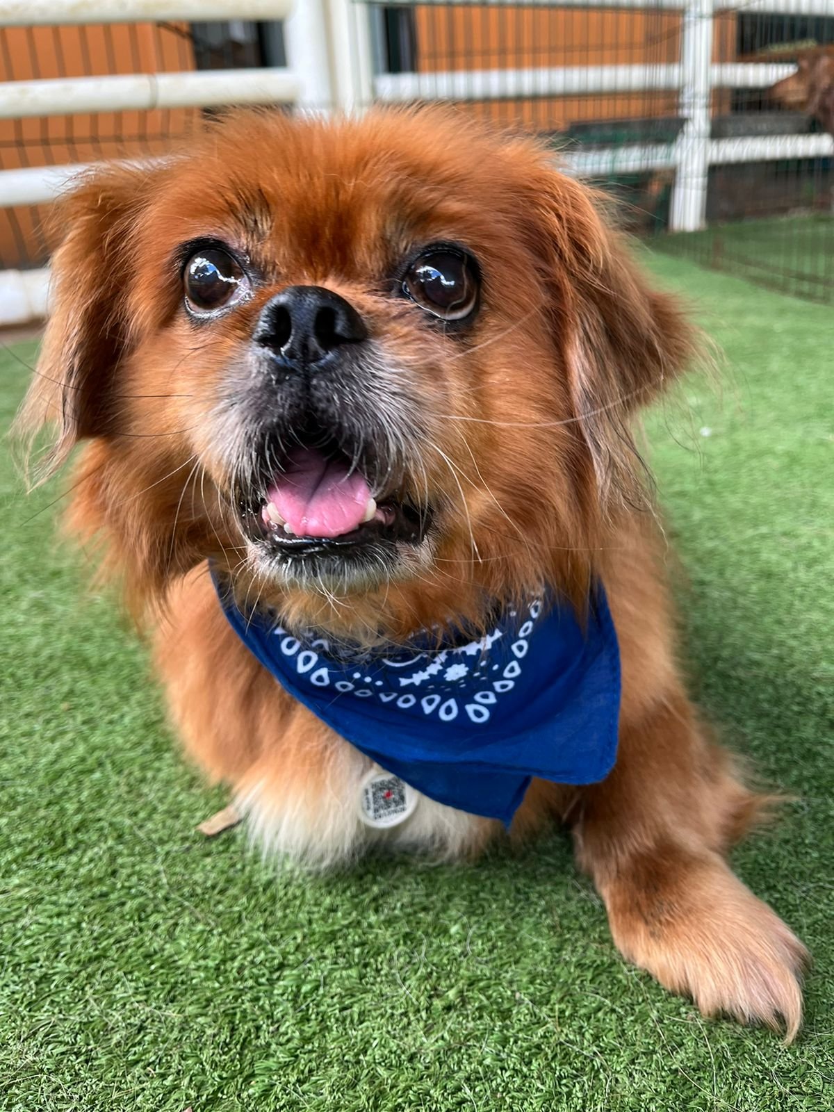 e82438fa-b097-49b8-a249-808a3e353647