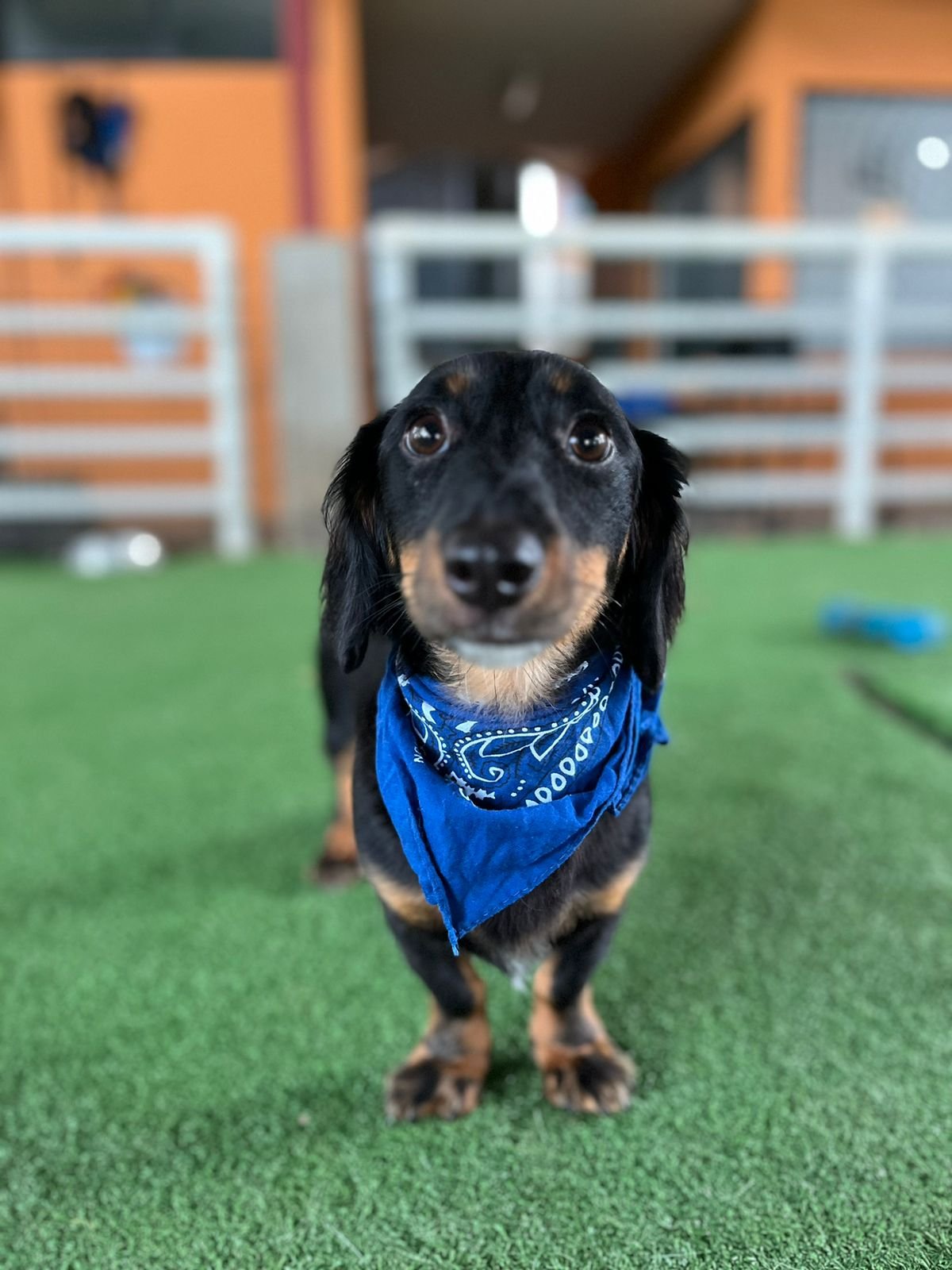 fd5f74cd-017c-46ef-93c5-e4aaa4f89627