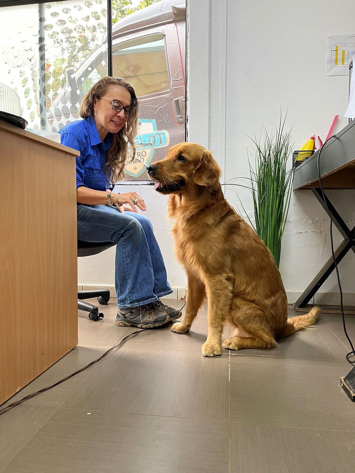 2fafb71a-226f-449d-b0cb-2aab77ba6c7d-1