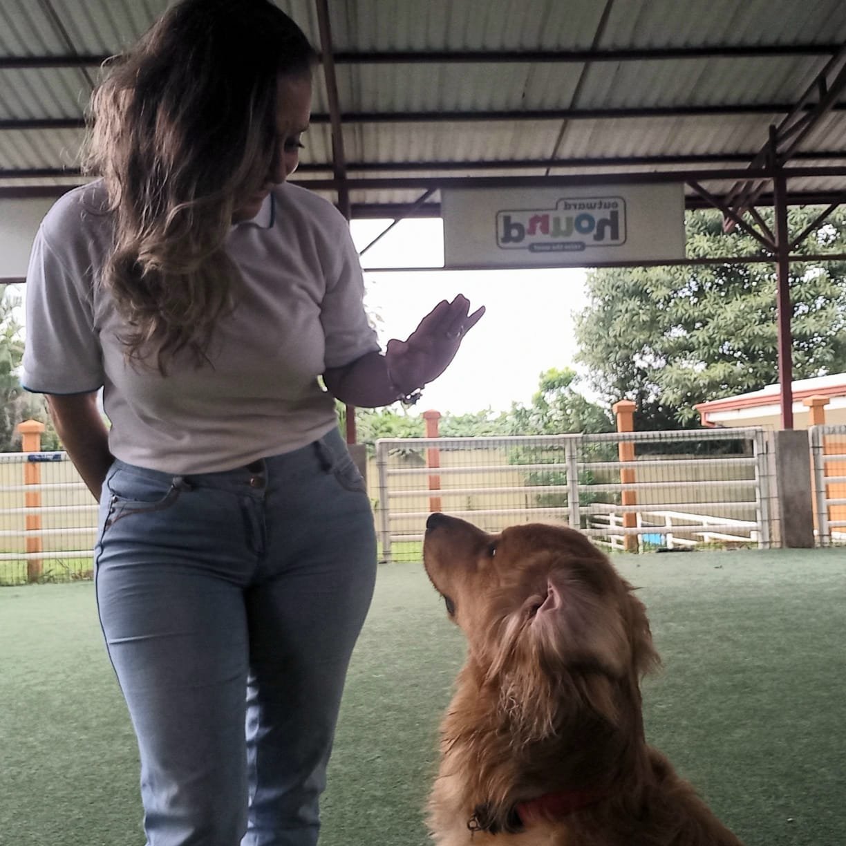 999de0be-11ff-4a2b-b229-f3c776118d47-1