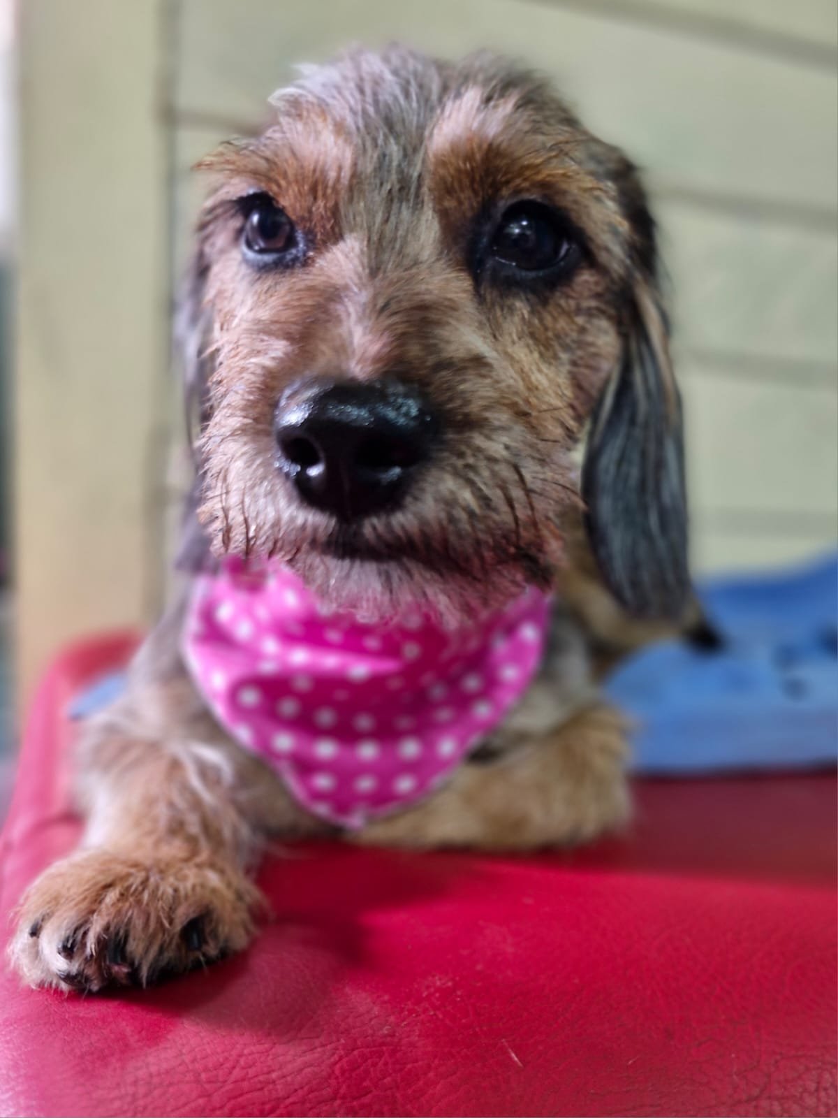 WhatsApp-Image-2025-07-29-at-8.01.44-PM-1