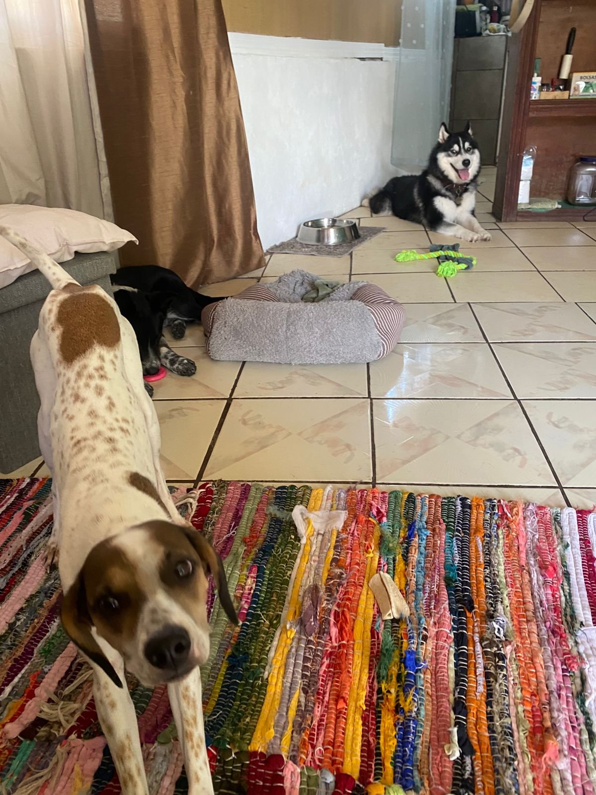 Huellas-Guarderia06-3