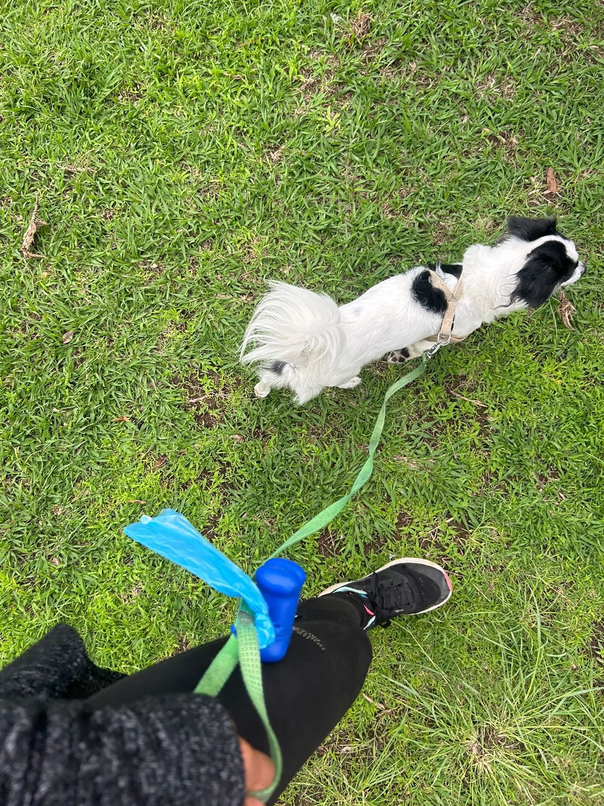 Huellas-Guarderia07-3