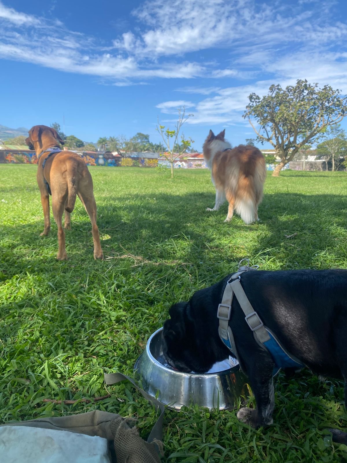 Huellas-Guarderia13-3